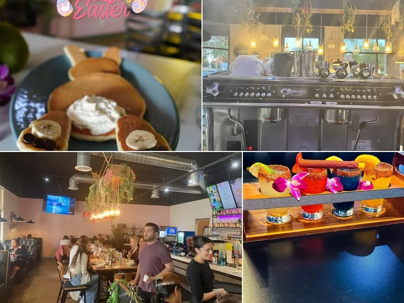 Haven Haus Cafe business photo