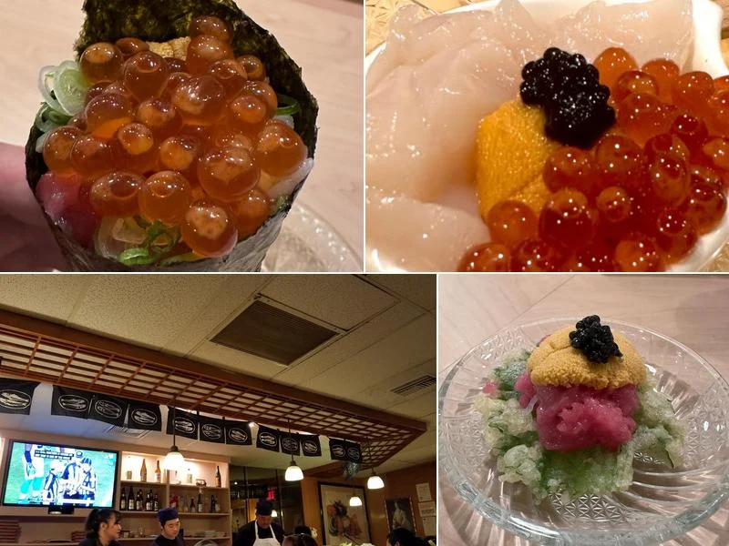 Ken's Japanese Restaurant business photo