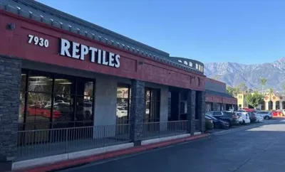 Reptile Island, business photo 1