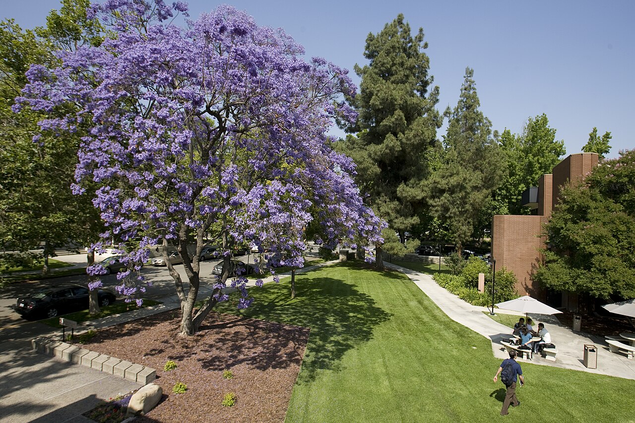 CGU Quad, Claremont Graduate University